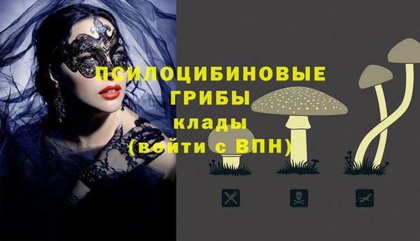 mdpv Балахна