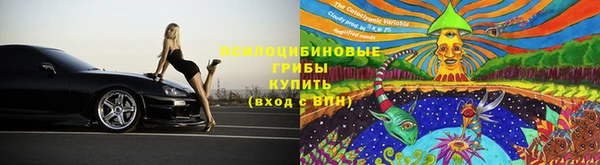гидропоника Краснослободск